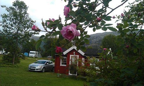 Kjellingstraumen Fjordcamp Hotel Nygardsjoen ภายนอก รูปภาพ